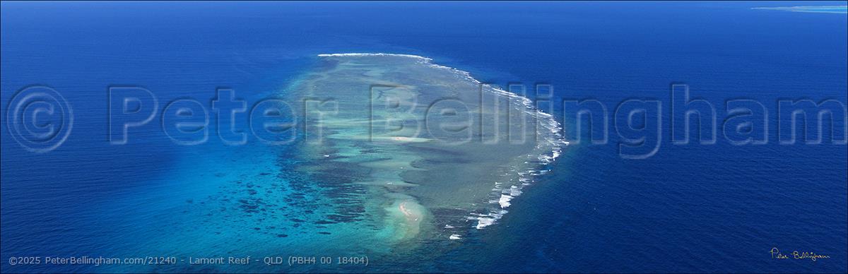 Peter Bellingham Photography Lamont Reef - QLD (PBH4 00 18404)